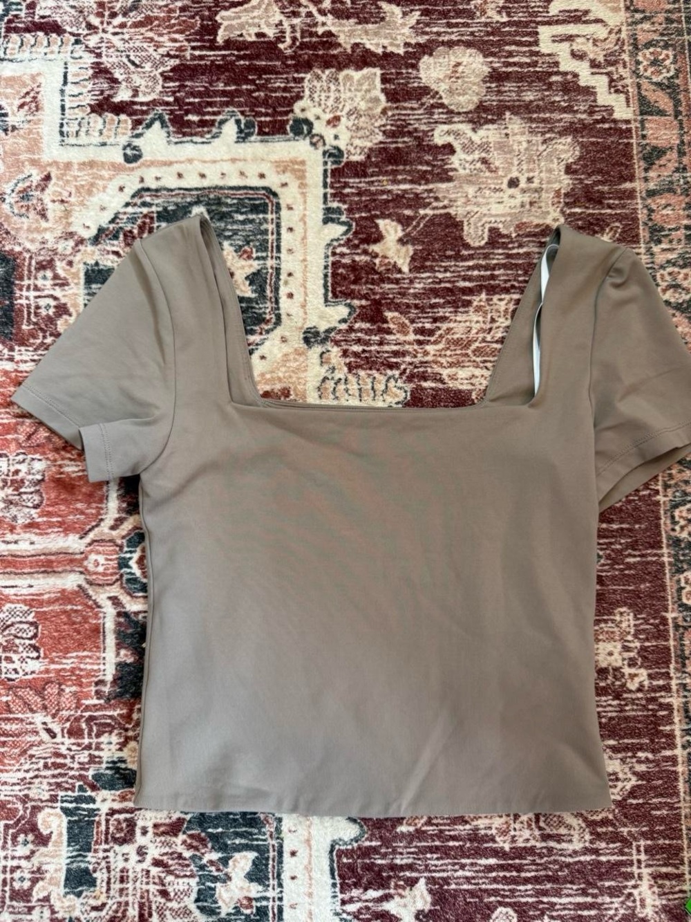 Babaton Square Neck Crop Top in Taupe